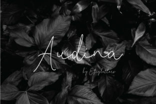 Audina: A Stylish Script Font for Modern Design