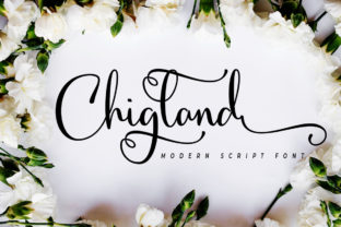 Chigland: A Bold Script Font for Campaigns