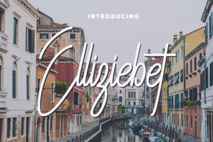 Elliziebet: A Powerful Script Font for Campaigns
