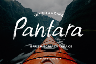 Pantara Font Review: A Bold Script for Branding