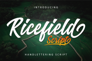 Ricefield: The Vintage Script Font for Bold Campaigns