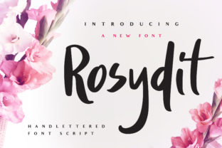 Rosydit: A Sweet Script Font for Artful Branding