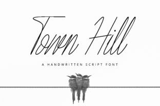 Town Hill: The Script Font for Standout Campaigns
